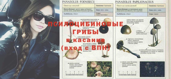 таблы Печоры