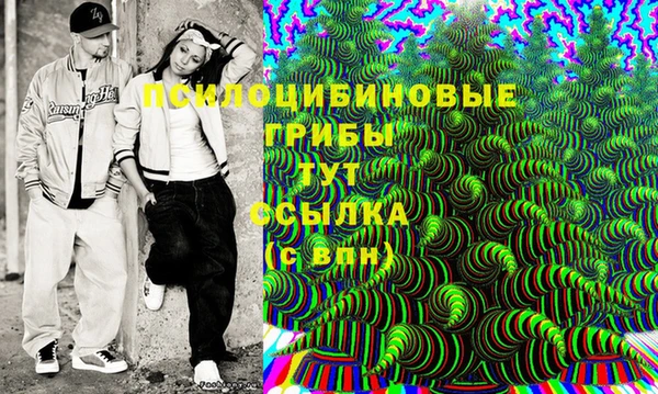 индика Балахна