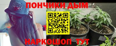 спайс Гай