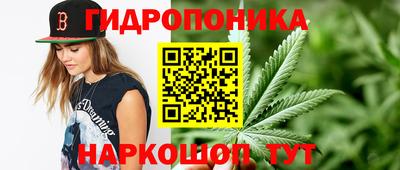 спайс Гай