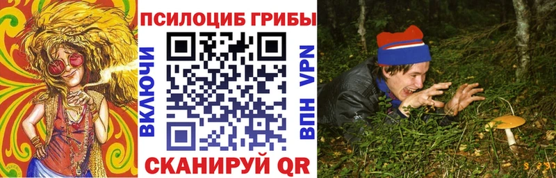 мега как войти  где купить наркоту  Отрадное  Галлюциногенные грибы прущие грибы 