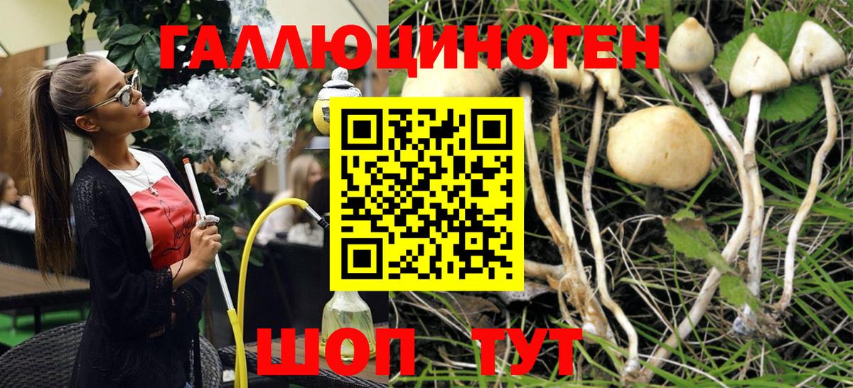Галлюциногенные грибы мицелий  Псилоцибиновые грибы мицелий  Вход с VPN  Отрадное 